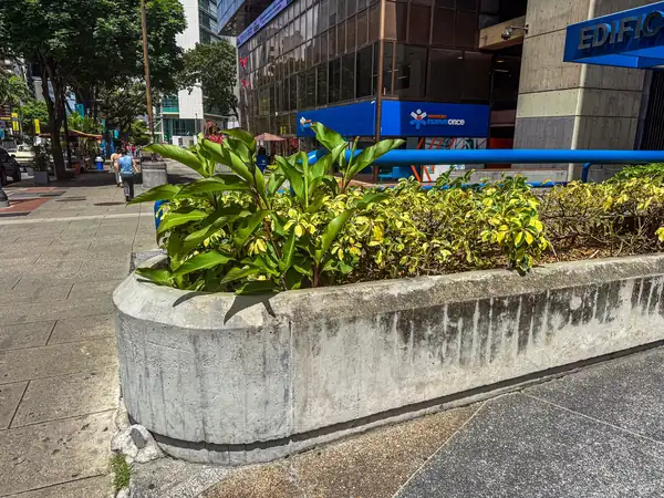 Impermeabilización y Recuperación de Jardineras Exteriores, Torre Seguros Venezuela
