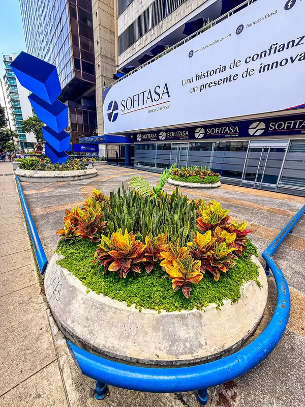 Paisajismo y Recuperación de Jardineras, Torre Seguros Venezuela
